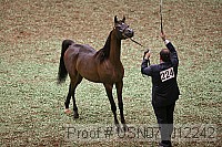 usn07_j12242 proof