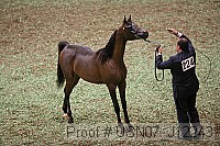 usn07_j12243 proof