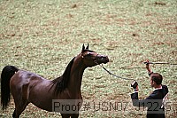 usn07_j12245 proof