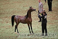 usn07_j12247 proof