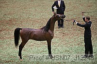 usn07_j12248 proof