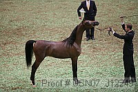 usn07_j12249 proof