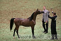 usn07_j12250 proof