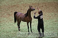 usn07_j12252 proof