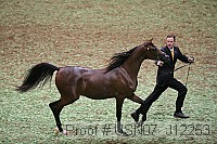 usn07_j12253 proof