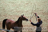 usn07_j12254 proof