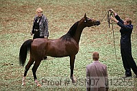 usn07_j12255 proof