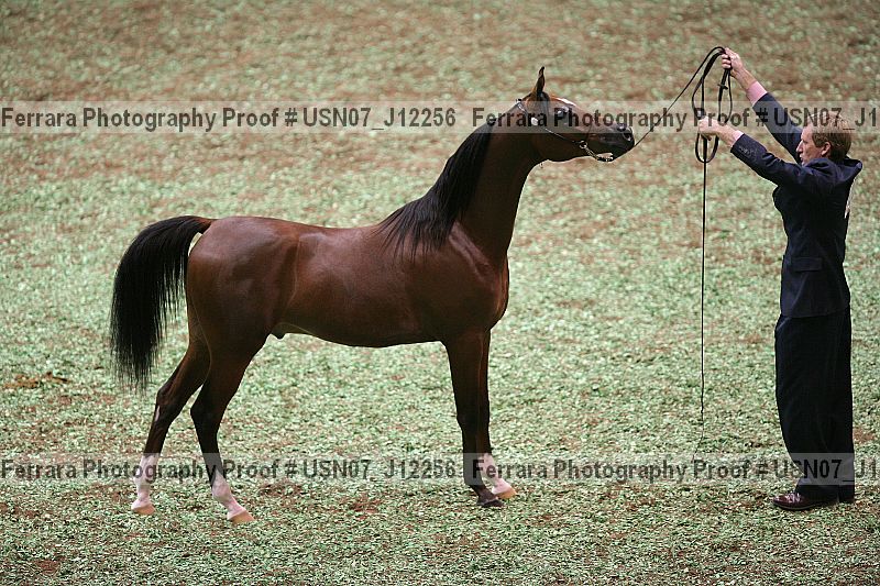 Proof usn07_j12256