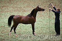 usn07_j12256 proof