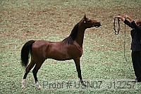 usn07_j12257 proof