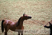 usn07_j12259 proof