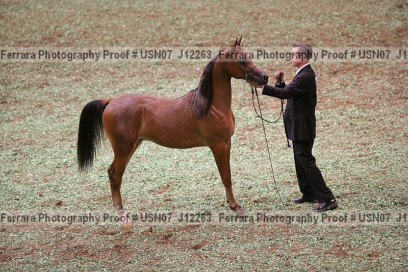 Proof usn07_j12263