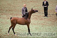 usn07_j12264 proof