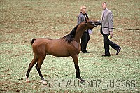 usn07_j12266 proof