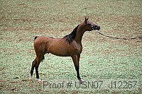 usn07_j12267 proof