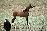 usn07_j12268 proof
