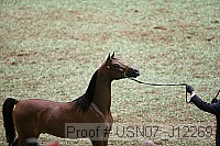 usn07_j12269 proof