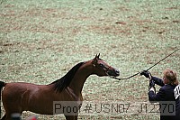 usn07_j12270 proof