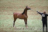 usn07_j12271 proof