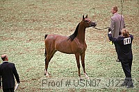 usn07_j12272 proof