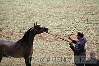 usn07_j12273 proof