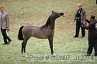 usn07_j12274 proof