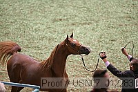 usn07_j12283 proof