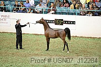 usn07_j12284 proof