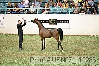 usn07_j12286 proof