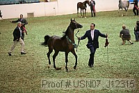 usn07_j12315 proof