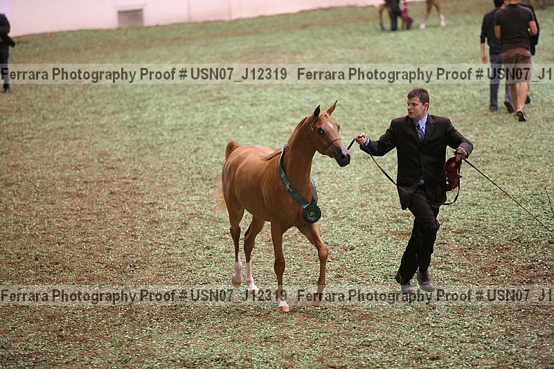 Proof usn07_j12319