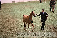 usn07_j12319 proof