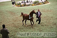 usn07_j12320 proof