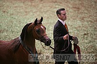 usn07_j12323 proof