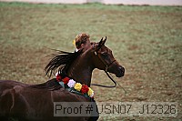 usn07_j12326 proof
