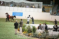 usn07_j12328 proof