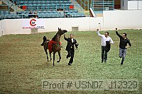 usn07_j12329 proof