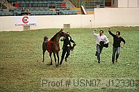 usn07_j12330 proof