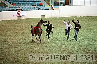 usn07_j12331 proof