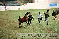 usn07_j12332 proof