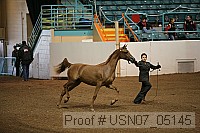 usn07_05145 proof