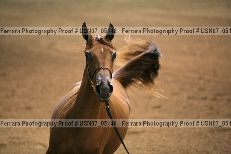 Proof usn07_05146