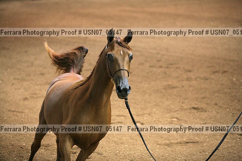Proof usn07_05147
