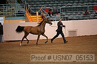 usn07_05153 proof