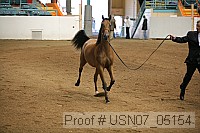 usn07_05154 proof