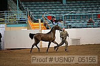 usn07_05156 proof