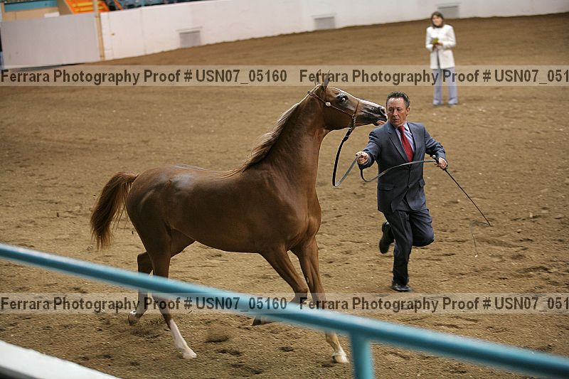 Proof usn07_05160