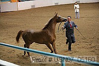 usn07_05160 proof