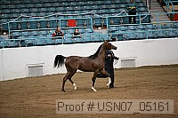 usn07_05161 proof