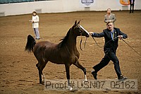 usn07_05162 proof